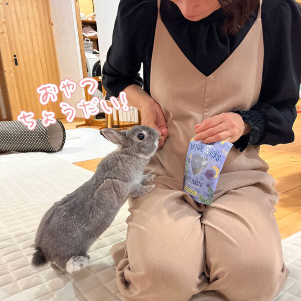 うさぎさんにとっての「おやつ」とは