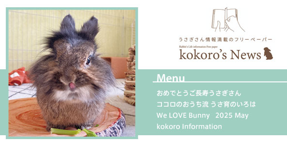 kokoro's News vol.211 2025年 5月 – ココロのおうちのうさぎLife