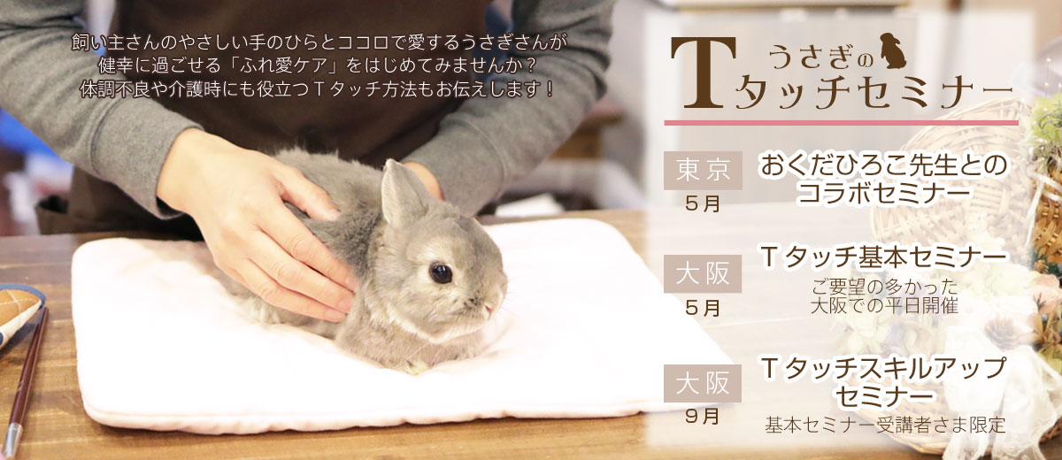 Tタッチセミナー