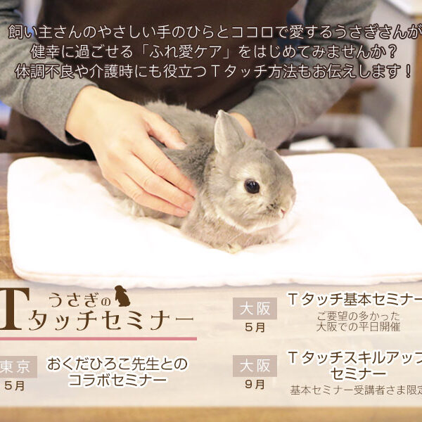 うさぎのTタッチセミナー2025