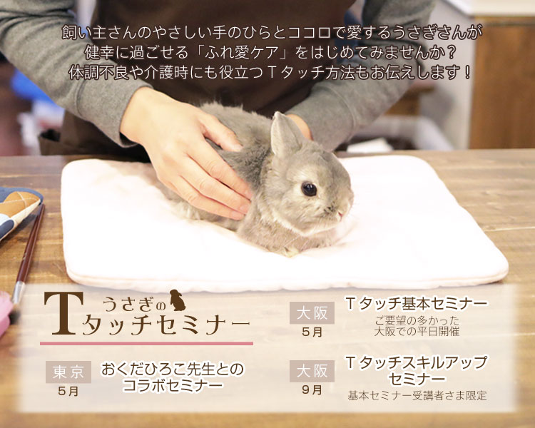 うさぎのTタッチセミナー2025 – ココロのおうちのうさぎLife