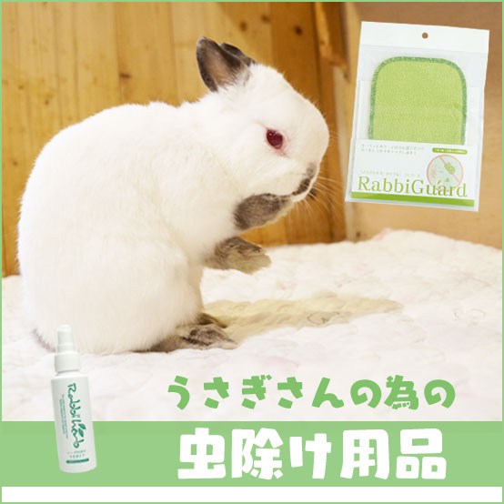 うさぎ用品とうさぎケアの専門店ココロのおうち