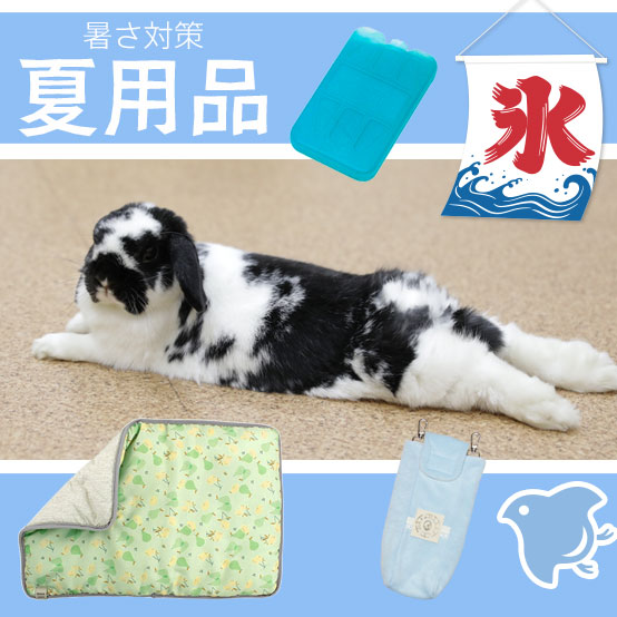 うさぎ用品とうさぎケアの専門店ココロのおうち